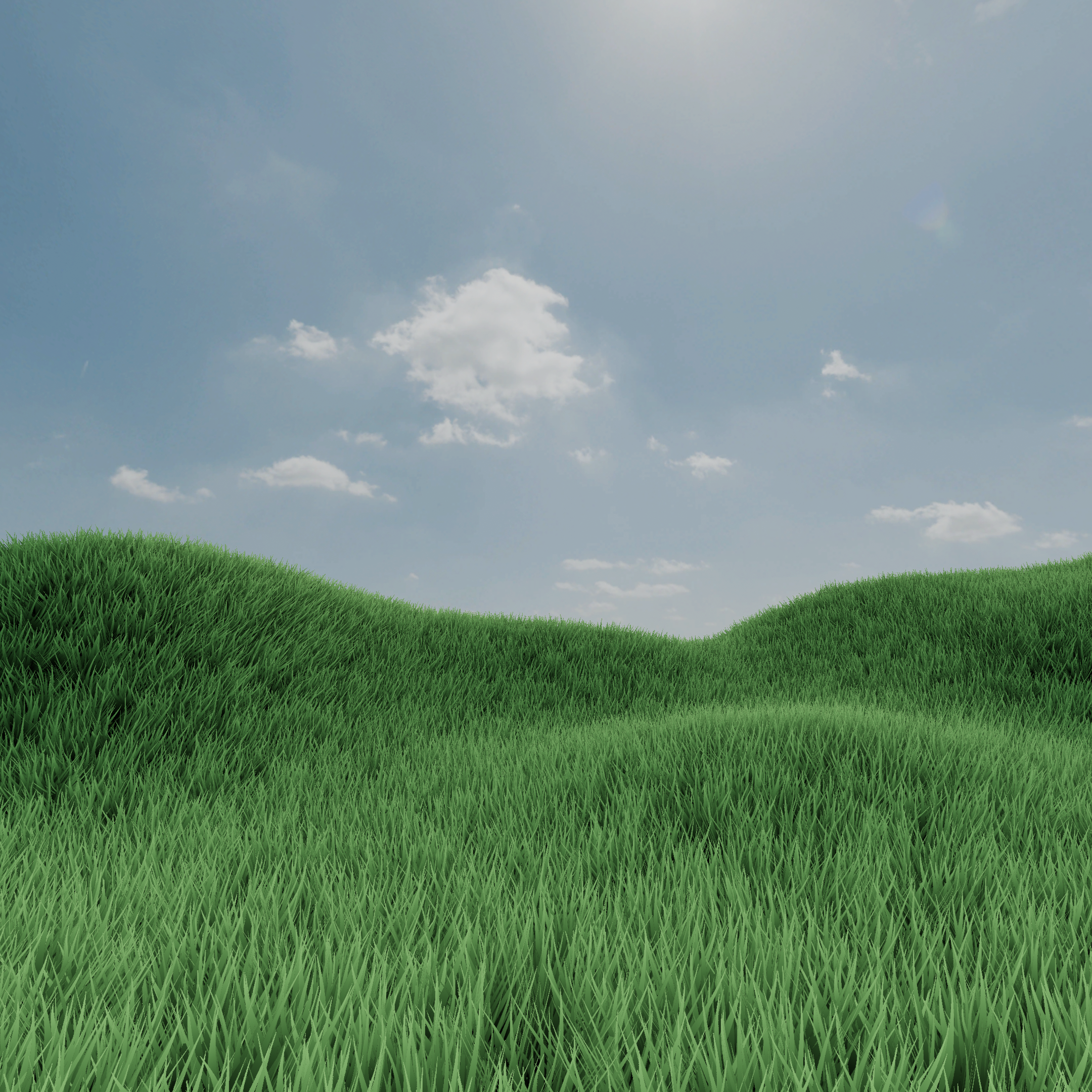 image 06